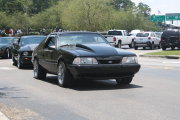 Black Mustang